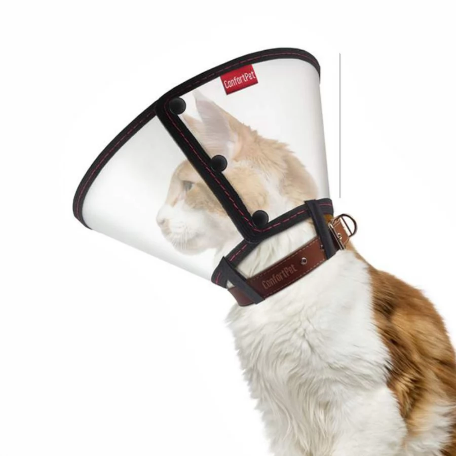 COLAR ELIZABETANO GATO - G CONFORT PET