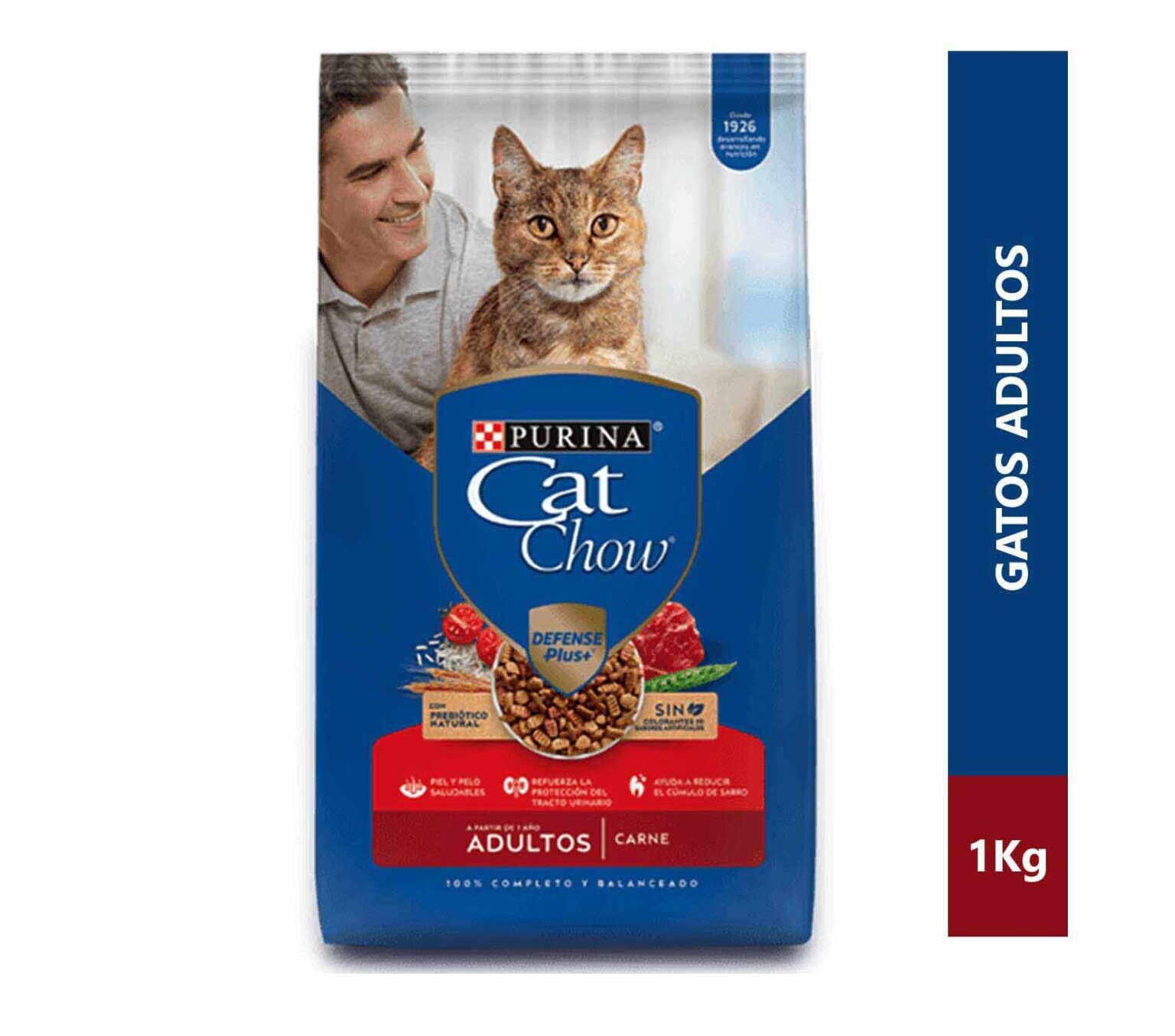 Cat Chow Ps Adulto Carne 1kg