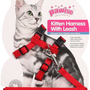 Conjunto peitoral + guia para gatos (cor vermelha)