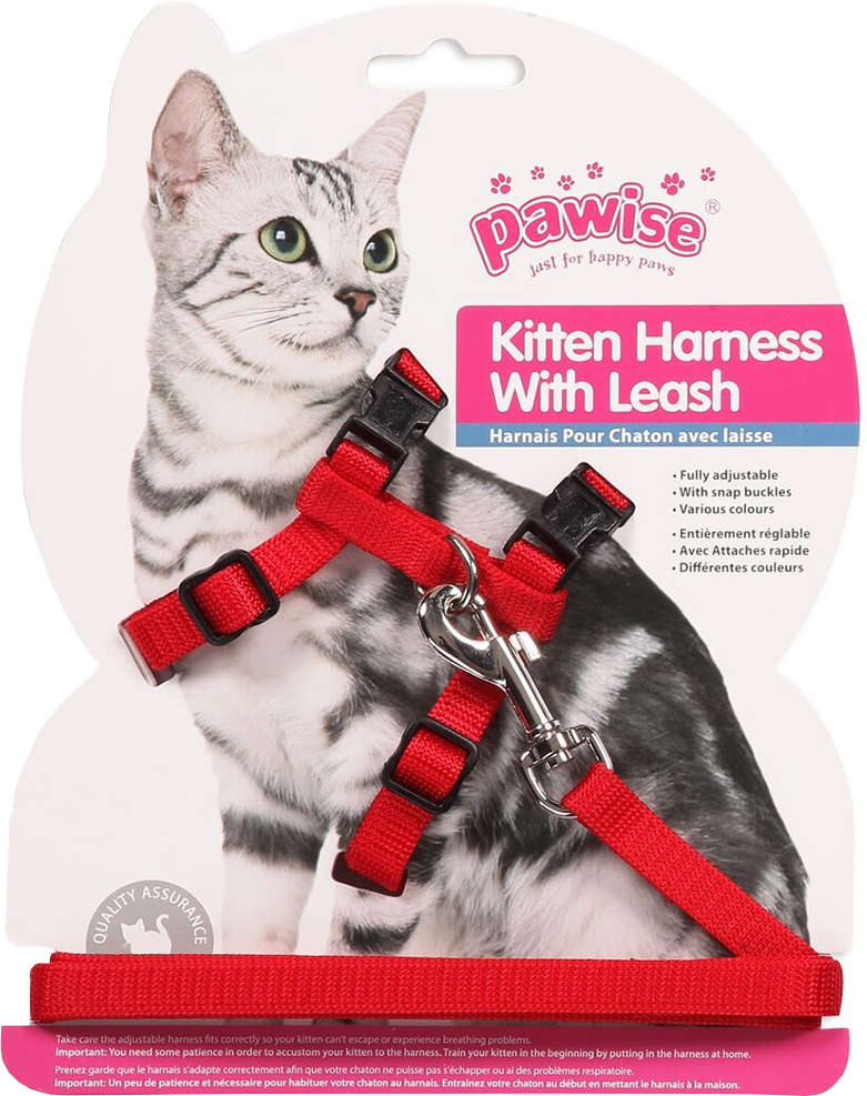 Conjunto peitoral + guia para gatos (cor vermelha)