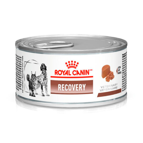 ACC - RECOVERY WET 195g - LT 195 GR