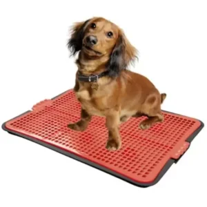 Sanitário Canino Tapete Higiênico Lavável