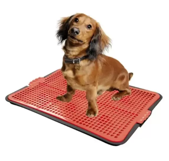 Sanitário Canino Tapete Higiênico Lavável