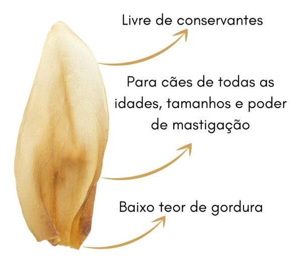 Petisco Snacks Orelha Bovina Desidratada para Cães - Imagem 2