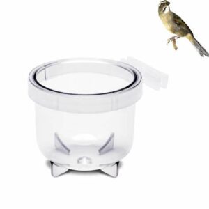 Porta Vitamina Farinhada Luxo Trincao King 50ml Cristal - Pixarro Trinca Ferro Bicudo Campeao Calopsita Aves